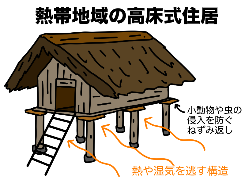 熱帯地域の高床式住居