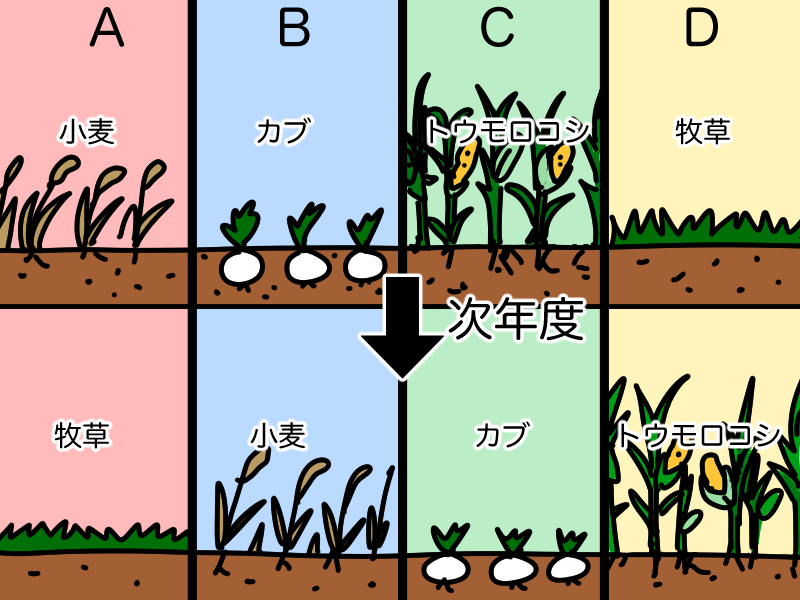 作る作物を変える混合農業