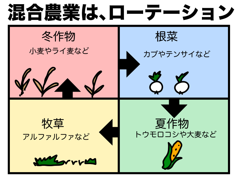 混合農業はローテーション