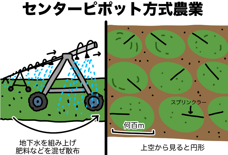 センターピポット方式農業