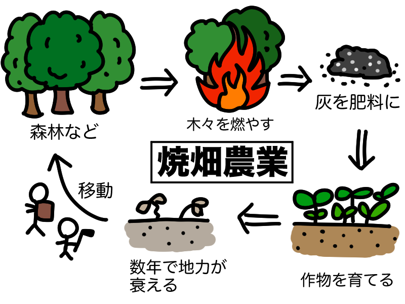 焼畑農業とは
