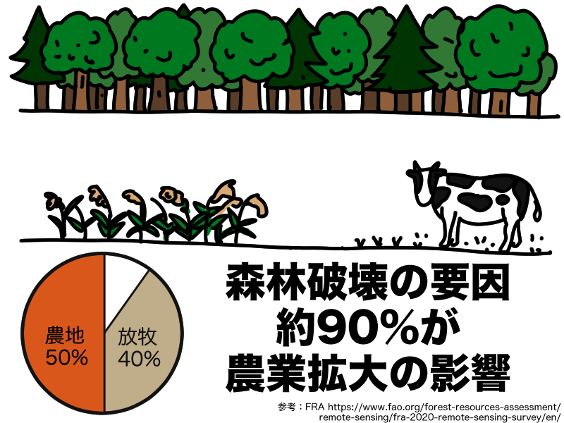 森林破壊の要因