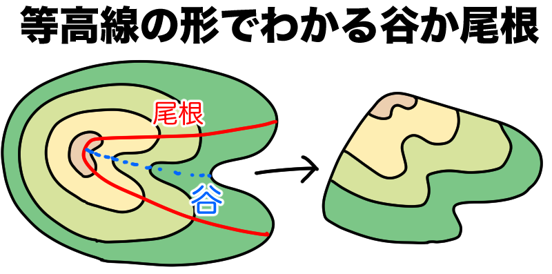 等高線の形で尾根か谷かわかる