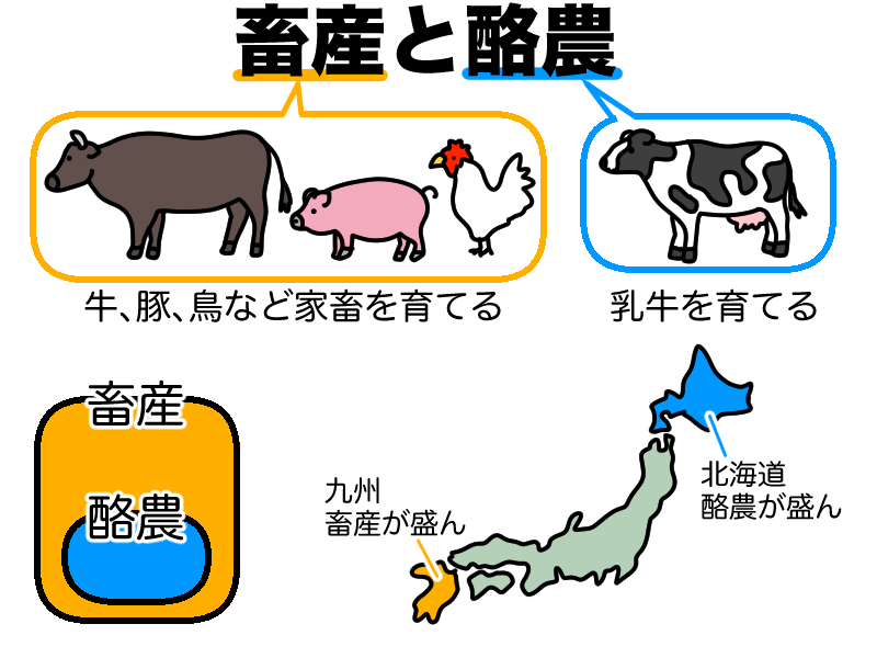 畜産と酪農