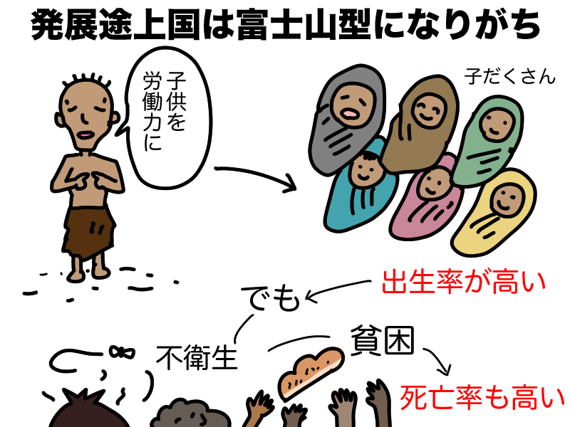 発展途上国は富士山型になりがち