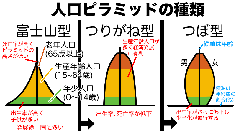 人口ピラミッドの種類