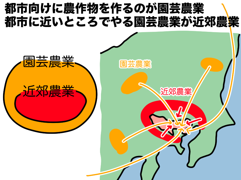 園芸農業と近郊農業の違い