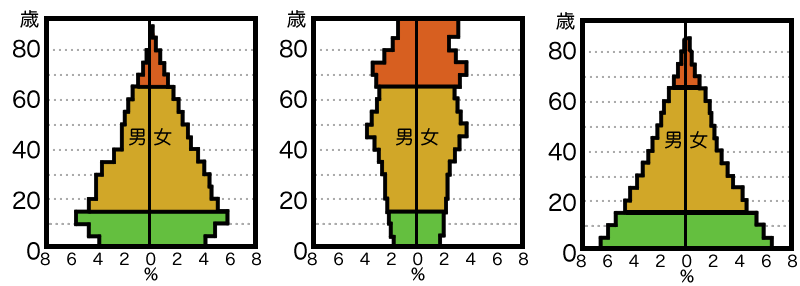 人口ピラミッド問題