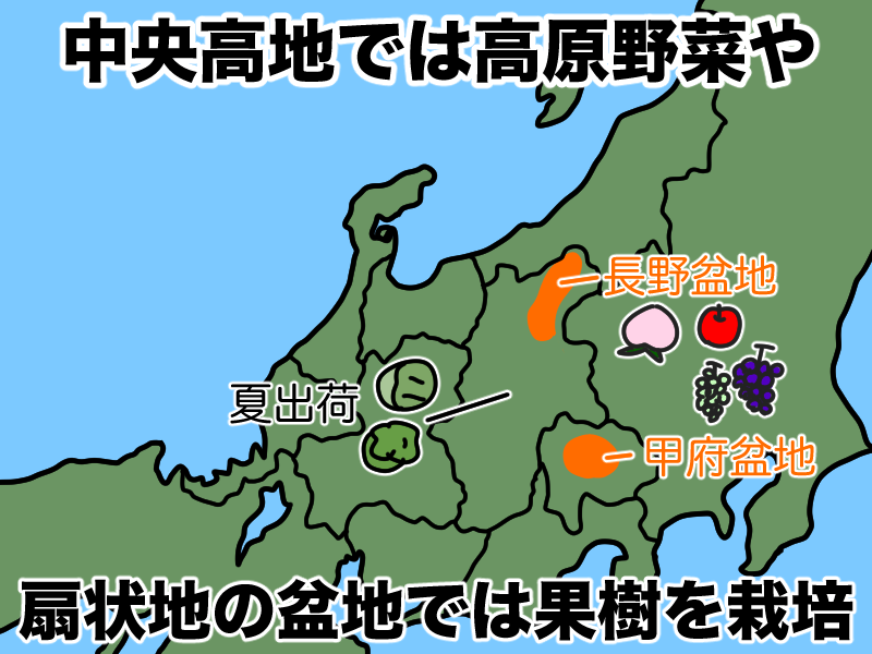 中央高地は高原野菜や果樹栽培