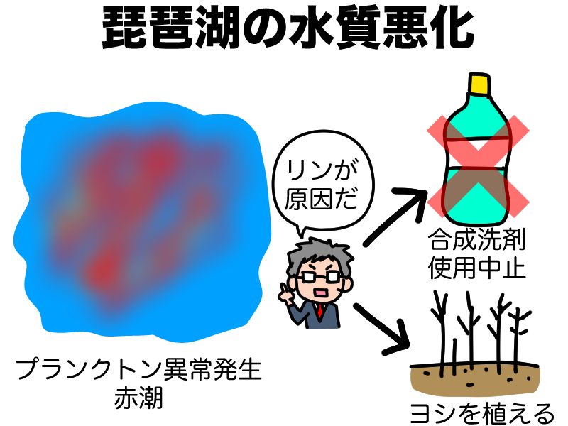 琵琶湖の富栄養化