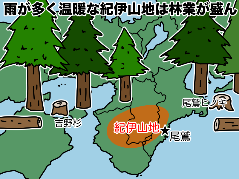紀伊山地は林業