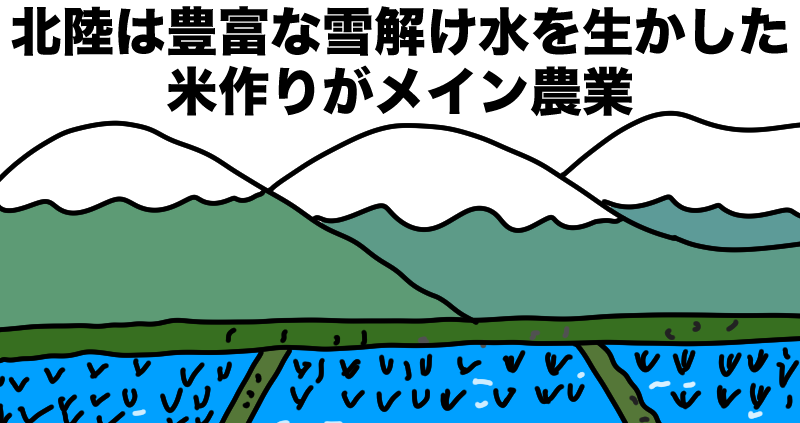 北陸は稲作