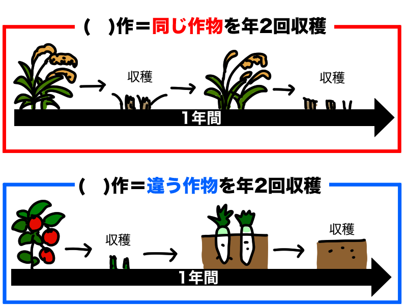 二期作 二毛作