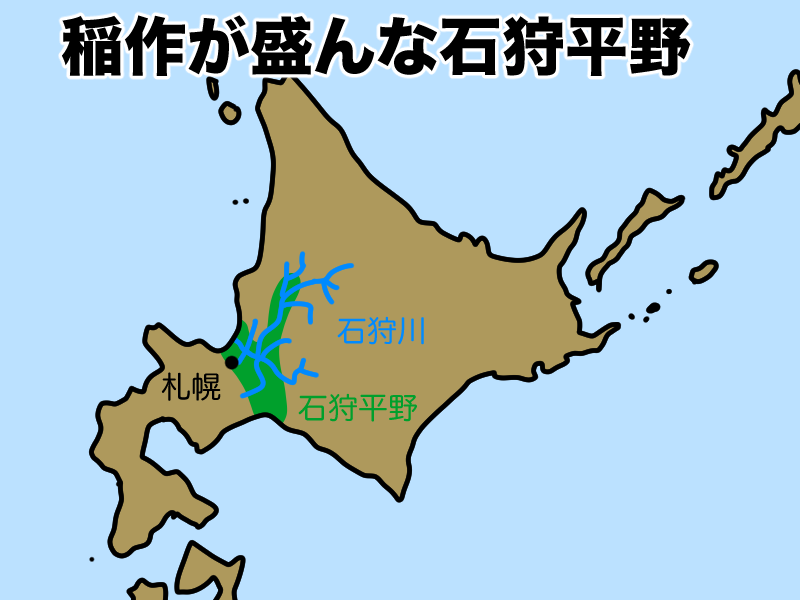 稲作が盛んな石狩平野