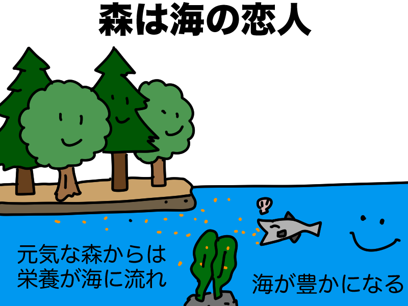 森は海の恋人