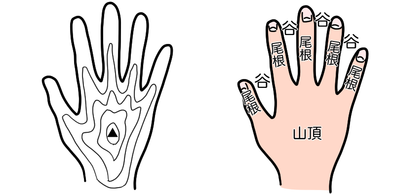 尾根と谷と手