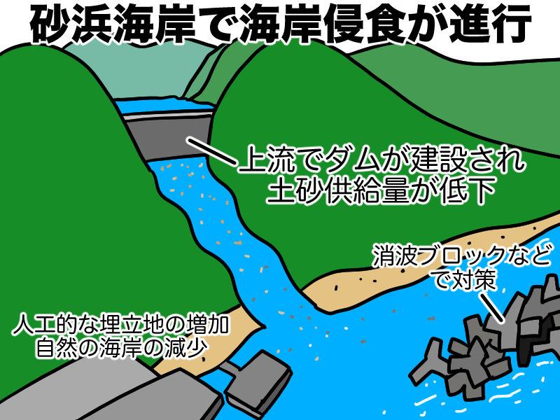 海岸侵食