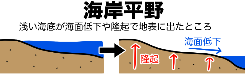 海岸平野