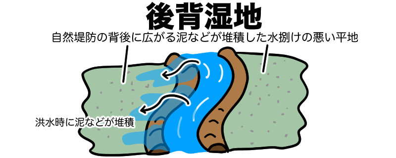 後背湿地
