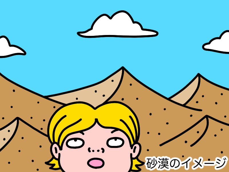 砂砂漠