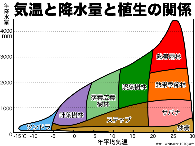 気温と降水量と植生の関係