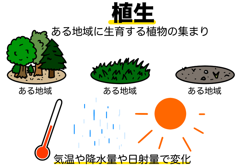 植生とは