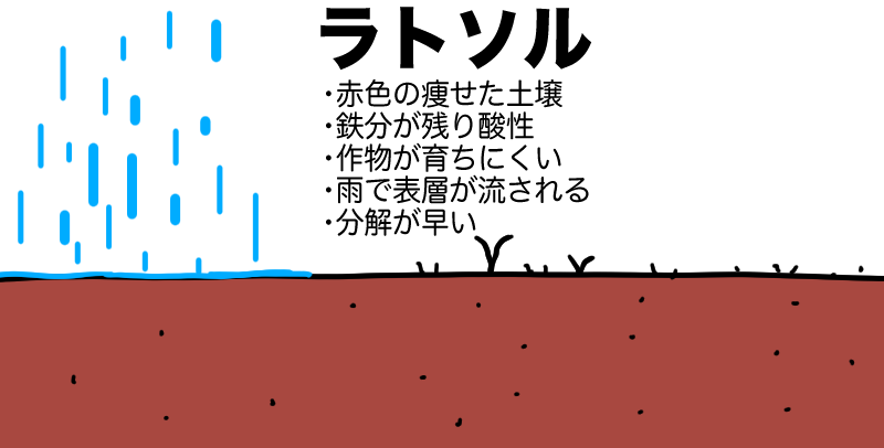 ラトソル