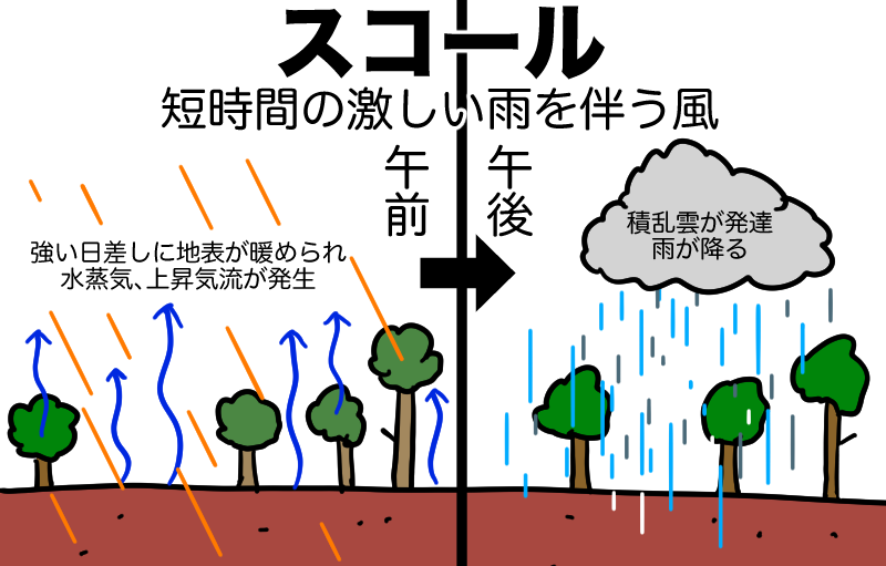 スコール