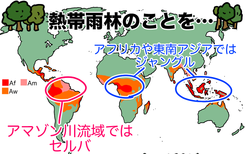 ジャングルとセルバ